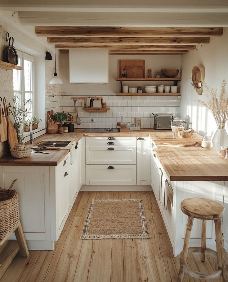 Best kitchen cabinets in a bright modern kitchen with white shaker style and natural greenery

